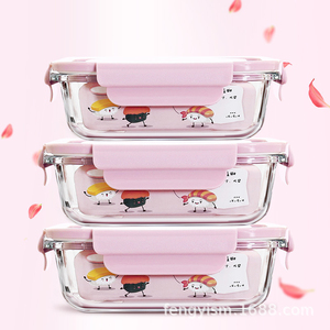 Compartment Bento Microwavable Food Container Set High Borosilicate Glass Lunch Box With Bag