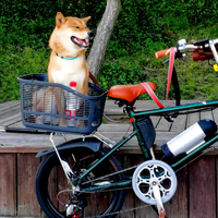 Thinkeasydo — panier de vélo de rangement grande capacité, sac arrière pour animaux de compagnie, pour chiens et chats