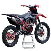 Nouvelle moto tout-terrain à essence 300cc 4 temps BSE WaveSpeeder M8 32kW avec moteur à cylindre incliné, 120 km/h, pour la course sur route désertique