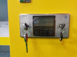 High-Safety Intelligent Clean Gas <strong>Storage</strong> Cabinet Modern Design Steel Material for School <strong>Lab</strong> &amp; Dangerous Chemical <strong>Storage</strong> - Product Image 6