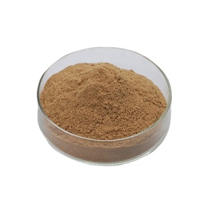 <span class=keywords><strong>Extrait</strong></span> de Pépins de <span class=keywords><strong>Pamplemousse</strong></span> 45% Flavonoïdes Totaux Poudre de Qualité Alimentaire - Product Image 1