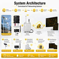 Passerelle IoT centralisée Sukite SL-WG avec 4G et réseau maillé sans fil pour la gestion intelligente des lampadaires