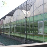 Multi-Span Poly Tunnel Film plastique Serres Système hydroponique Maison verte à vendre