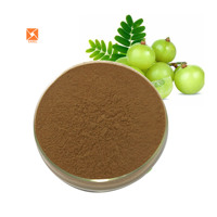 Extrait de fruit d'Amla certifié naturel, poudre de jus d'Amla, fourni par l'usine