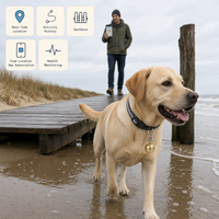 Traceur GPS pour animaux de compagnie G15, compact, facile à transporter, confortable à porter, suivi de localisation en temps réel et historique des itinéraires