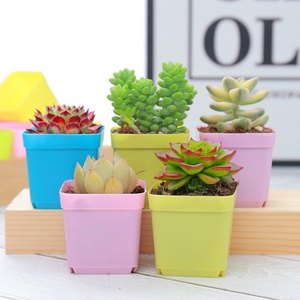 High Quality Seeding <b>Pot</b> Garden Plant <b>Pots</b> Nursery for Succulent Plants <b>Square</b> Thicken Plastic <b>Pot</b> Planter - Product Image 6