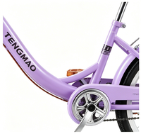 Vélo de banlieue TENGMAO pour adultes, 20/22/24/26 pouces, cadre en acier à haute teneur en carbone, vitesse unique, double frein, design rétro léger, pour la route