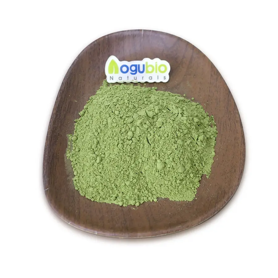 Aogubio, polvo de brócoli orgánico, polvo de extracto de brote de brócoli puro, polvo de extracto de brote de flor de brócoli