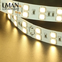 Bande LED haute puissance adressable double ligne IP20 120leds/m DC 12V 24V SMD 5050 RGB