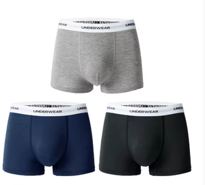 Boxers pour hommes <span class=keywords><strong>grande</strong></span> <span class=keywords><strong>taille</strong></span> au design luxueux, sous-vêtements sexy pour hommes de créateur - Product Image 5