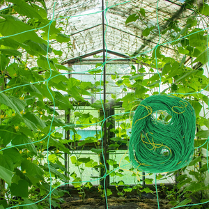 Malla de Enredadera para Jardín, Soporte Vertical para Plantas Trepadoras, Ahorro de Espacio, para Huertos Domésticos y Pequeños Jardines - Product Image 3