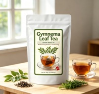 Thé aux feuilles de Gymnema 100g (2g*50 sachets) Sachet de thé aux herbes naturelles Étiquette privée personnalisée Vente en gros