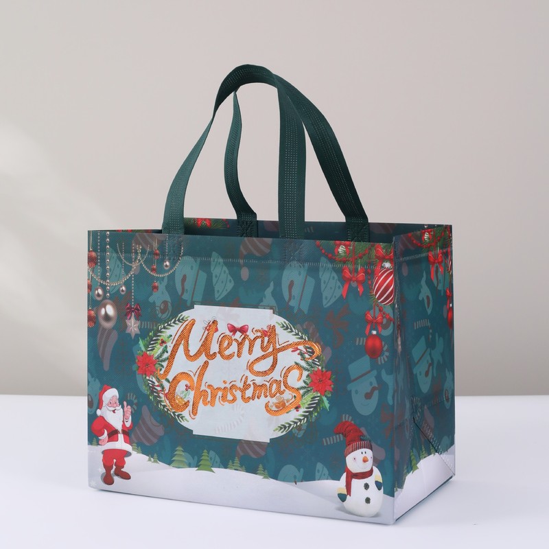 Recyclable Film Coated Non Woven Bag