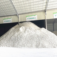 Pigment Blanc de Qualité Industrielle à Bas Prix 28%-30% Lithopone B311 B301 CAS 1345-05-7 Origine US
