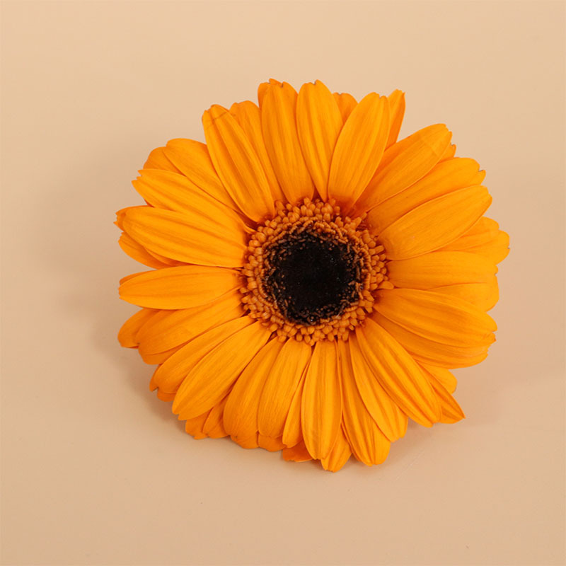4-5cm Orange