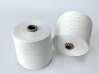 Fil à tricoter écologique Ne40/1 Siro Compact Spun 95% Birla Lyocell 5% Soie, fil mélangé, doux, pour vêtements de mode