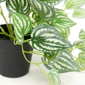 Mini plante artificielle <span class=keywords><strong>Bonsaï</strong></span> Petite plante <span class=keywords><strong>en</strong></span> <span class=keywords><strong>pot</strong></span> Plante à feuilles vertes blanches dans <span class=keywords><strong>un</strong></span> <span class=keywords><strong>pot</strong></span> <span class=keywords><strong>en</strong></span> plastique avec faux sol pour la décoration du rebord de fenêtre à la maison - Product Image 3