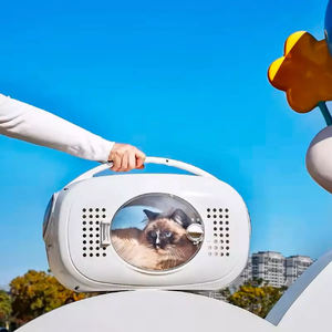 Offre Spéciale Portable petite taille transporteur pour animaux de compagnie fabricant vol Pet meubles chien <span class=keywords><strong>Cage</strong></span> en plastique Air <span class=keywords><strong>Cage</strong></span> boîte - Product Image 4