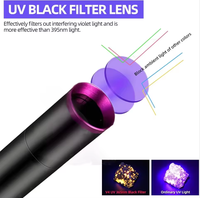 Lampe torche UV 3W 365nm rechargeable USB-C avec filtre noir UV, détecteur de taches sèches d'urine d'animaux