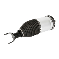Front Left Air Suspension Shock Absorber Strut for Dodge Ram 1500 DS 2013-2018 Ram 1500 Classic 2019-2020 4877147AH