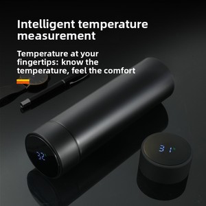 Vaso Térmico Inteligente con Aislamiento al Vacío de 24 Horas, Pantalla de Temperatura, Acero Inoxidable 304, Apto para Agua Hirviendo, Moderno - Product Image 2