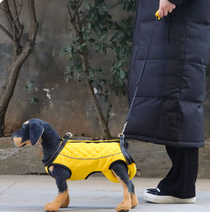 เสื้อกั๊กช่วยพยุงสุนัขสูงวัย <span class=keywords><strong>ป่วย</strong></span> หรือพิการ  พร้อมสายรัดและอุปกรณ์ช่วยพยุงสัตว์เลี้ยง  สำหรับช่วยยกและดูแลสุนัข - Product Image 6