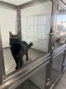 Pet malzemeleri Pet kafesleri Pet yuvalar lüks çift katlı özel dubleks köpek kulübesi/kedi evi - Product Image 2