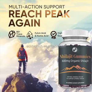 OEM Shilajit Gummies énergétiques de soutien à la mémoire cérébrale Gommes de Shilajit bio pur de l'Himalaya - Product Image 2