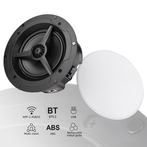 Altavoz de techo inalámbrico para el hogar Amplificador incorporado Sistema de audio DLNA Soporte WiFi BT USB Airplay Reproducción multihabitación - Product Image 4