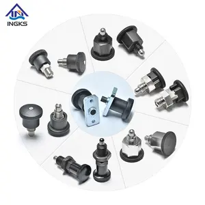 M8 M10 M12 M16 Index Plunger Black Plastic Head Carbon Steel Rest Position Locking Type Many Kinds of Mini Indexing Plungers