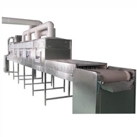 Automatische Tunnel Magnetron Drogen Sterilisatie Machine/Magnetron Fruit En Groente Droger/Magnetron Riem Droger