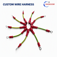 Rangkaian Kabel Kustom Profesional 2.54mm Konektor 2/3/4/5/6 Pin Colokan Betina Otomotif 300-600V Wiring Harness