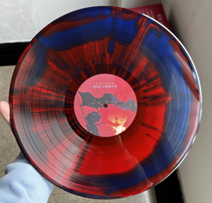 <span class=keywords><strong>Disque</strong></span> vinyle transparent noir de 12 pouces, 180g, 33 1/3 tours, avec couleurs orange opaque et noir fumé - Product Image 6