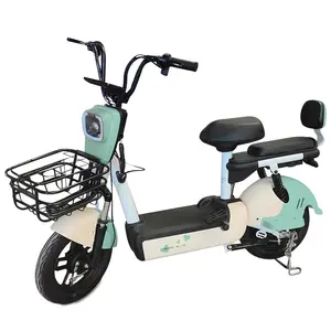 Hete Verkoop Ebike Elektrische Fiets Dikke Band Europa Moter Elektrische Stadsfiets 29 Pulgadas Hoorn Dual Hub Motor E-Bike