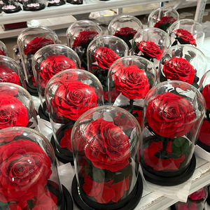 Regalo del Día de la madre de San Valentín 2025, flores <span class=keywords><strong>rosas</strong></span> para siempre, <span class=keywords><strong>rosas</strong></span> naturales hechas a mano eternas preservadas en cúpula de cristal para mujeres <span class=keywords><strong>y</strong></span> niñas - Product Image 4