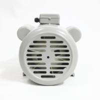 Moteur à condensateur monophasé double valeur série YL802-4 durable, 100 % fil de cuivre, longue durée de vie, haute qualité pour pompes et ventilateurs