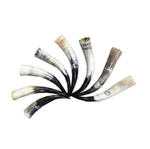 Jarra de Cuerno Pulida Hecha a Mano para Disfraces Medievales y Festivales a un Precio Económico - Product Image 1