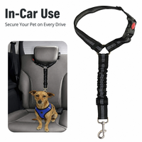 Laisse rétractable pour chien Pet Glow, réfléchissante pour la marche nocturne, pour chiens de petite, moyenne et grande taille, sécurité en extérieur