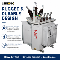 Transformateur de distribution monté sur poteau LEINENG 33 kV 1000 V 37,5 kVA 1250 kVA 35 kV 400 V