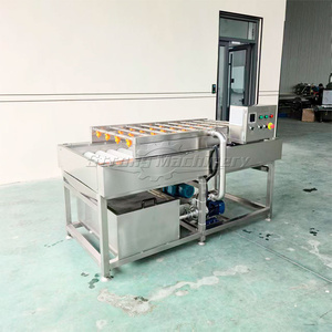 Máquina de lavado de frutas secas con cepillo de rodillos paralelos, máquina de limpieza de dátiles de palma - Product Image 3