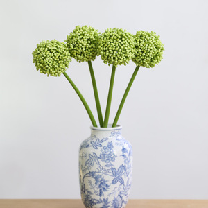 Y-H204 Meilleures ventes : Branches <span class=keywords><strong>de</strong></span> sérum artificielles en plastique, plantes succulentes, boules <span class=keywords><strong>de</strong></span> sérum pour la décoration <span class=keywords><strong>de</strong></span> tables d'événements et <span class=keywords><strong>de</strong></span> mariages - Product Image 4