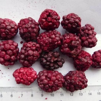 OEM Gefroren Gedroogde Zwarte Bessen, Gehele Vruchten, Gefroren Gedroogde Zwarte Bessen voor Taart, Gedroogd Fruit