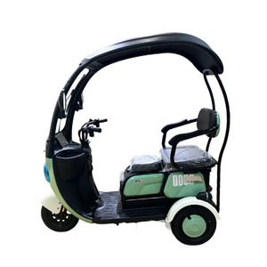 Tricycle électrique à cabine fermée avec toit rigide et siège arrière - Product Image 1