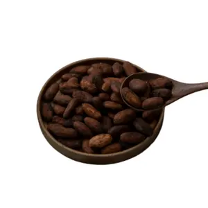 Vendita diretta dalla cina produttore di semi di cacao singolo non arrostito da West Africa ingredienti di alta qualità