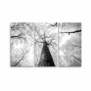 Printed <b>Canvas</b>: Forest <b>Wall</b> Hanging - Elegant Farmhouse Decor,SET OF 3 <b>CANVAS</b> - Product Image 2