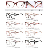 MS 81736 2025 Nuevas Monturas de Gafas, Gafas TR90+CP Más Vendidas, Gafas Ópticas con Bloqueo de Luz Azul, Gafas de Diseñador, Gafas de Lujo