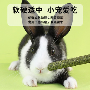 Rabbit Grass <b>Sticks</b> Chew Toys For Rabbits Chinchillas Guinea Pigs Solid <b>Green</b> Grass Material Indoor Use Medium Size - Product Image 5