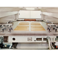 Linea di Produzione Automatica per Verniciatura a Spruzzo con Forno di Essiccazione Verticale a Movimento Alternato
