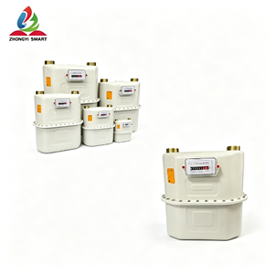มิเตอร์แก๊สอัจฉริยะ ZHONGYI G6 แบบไดอะแฟรม รองรับ LoRaWAN ตัวเรือนสแตนเลส อ่านค่าระยะไกล 0.06-10 ลิตร/ชม. OBM รับประกัน 1 ปี - Product Image 1