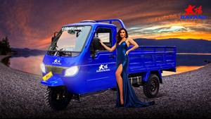 DAYANG truk kargo pengiriman gas bertenaga 250cc 3 roda mesin muatan - Product Image 6